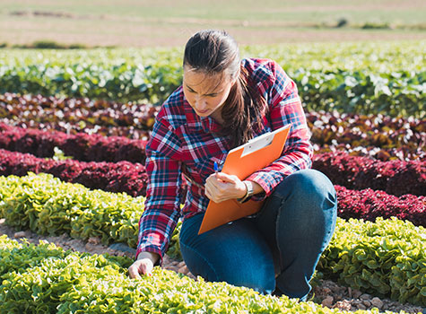 A women with a clipboard inspecting cropss