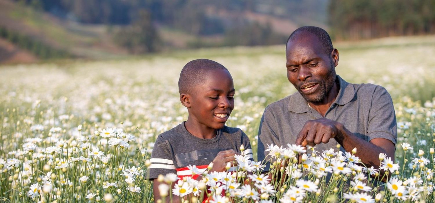 A man and a boy looking at flowers in a field together