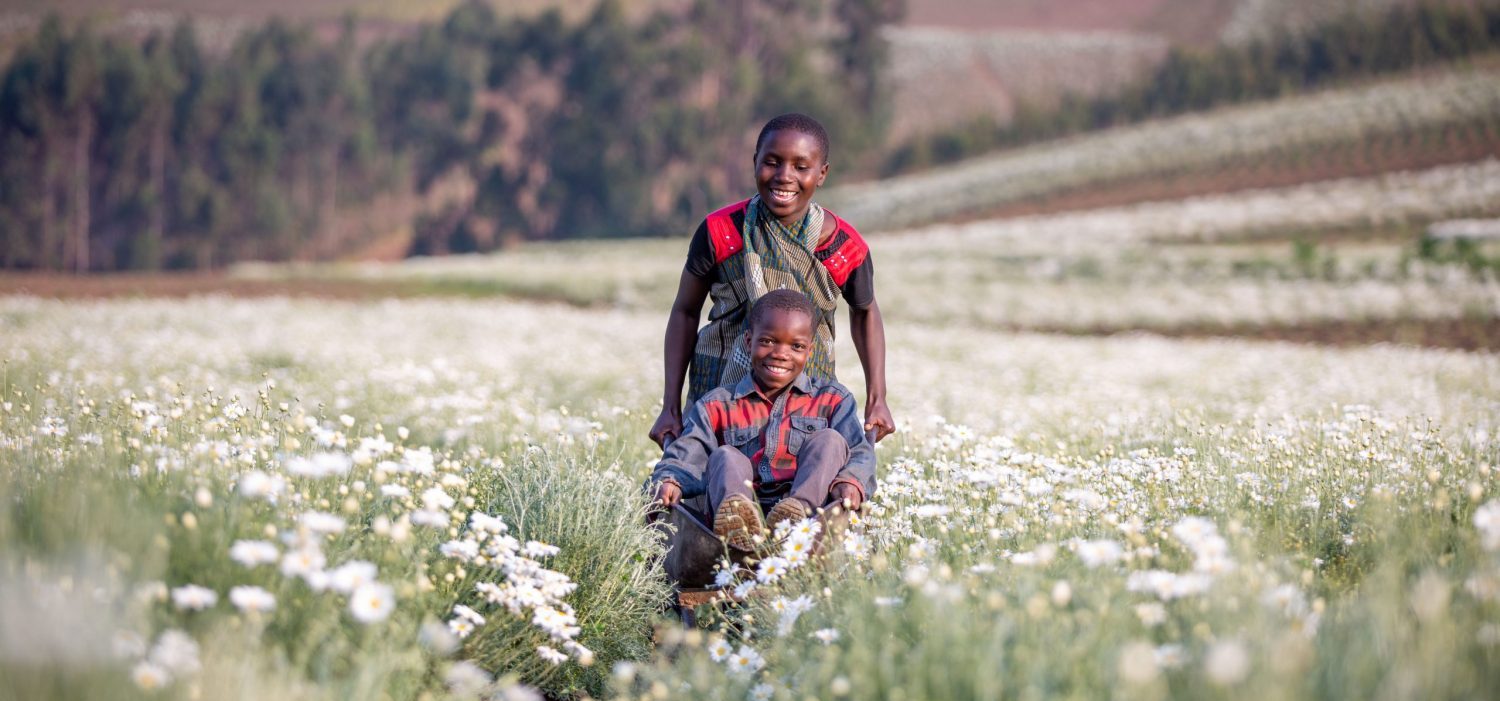 Two children playing in a field of flowers